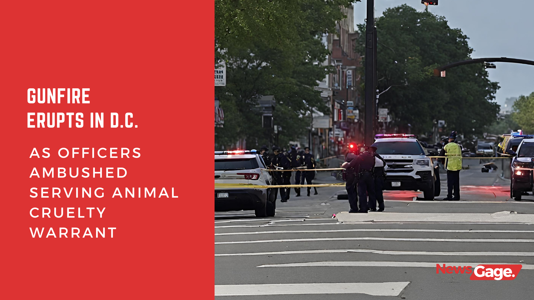 Gunfire Erupts in D.C. as Officers Ambushed Serving Animal Cruelty Warrant